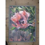 Tia Lambert, oil on canvas, red poppy, 21.5ins x 15.5ins