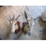 J Innes, two mounted deer heads, on shield shaped backs