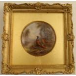 A framed Royal Worcester circular plaque, painted with pheasants in landscape by Jas Stinton - There