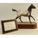 A Royal Worcester limited edition model, Appaloosa Stallion, modelled by Doris Lindner, with