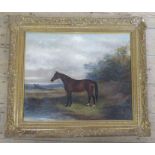 A 19th century oil on canvas, bay horse in landscape, 19ins x 22ins - relined