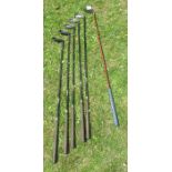 5 Boroniron golf clubs and another