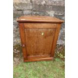 A 19th century mahogany pot cupboard width 18ins height 24ins