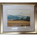 Andrew Dandridge, watercolour, Evening Light on Harting Down, 11ins x 14ins