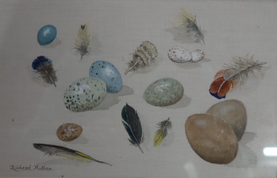 Richard Mather, four watercolours, Eggs & Feathers, 5ins x 8ins, Common Blue & Meadow Brown, 14ins x - Image 2 of 9
