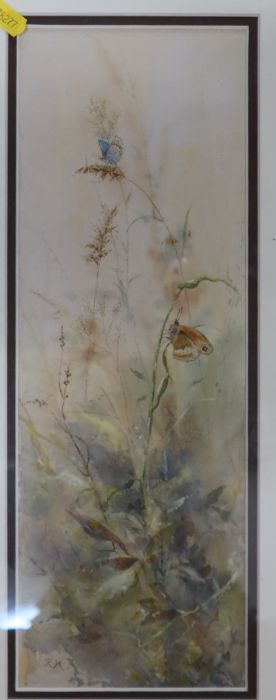 Richard Mather, four watercolours, Eggs & Feathers, 5ins x 8ins, Common Blue & Meadow Brown, 14ins x - Image 6 of 9