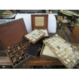 A Victorian mineral collection, by Mr Tennant, the box having Mr Tennant label and pull out tray