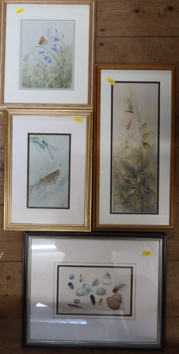 Richard Mather, four watercolours, Eggs & Feathers, 5ins x 8ins, Common Blue & Meadow Brown, 14ins x