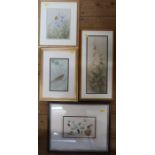 Richard Mather, four watercolours, Eggs & Feathers, 5ins x 8ins, Common Blue & Meadow Brown, 14ins x