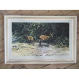 David Shepherd, three limited edition colour prints, African Afternoon, 20.5ins x 32.5ins, Tiger