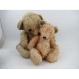 Two Merrythought teddy bears, with plush bodies and stitched noses, height 14ins and 18ins