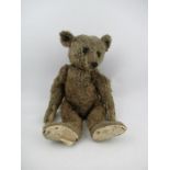 An early Steiff teddy bear, in dark brown, with shoe button eyes, pointed snout, hump back,