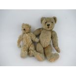 Two English gold plush teddy bears, heights 16ins and 12.5ins