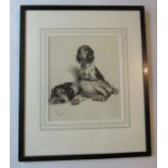 Cecil Charles Windsor Aldin, black and red chalk, Cocker Spaniels, signed, 9ins x 7.5ins