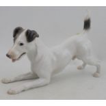 A Bing and Grondahl model, of a playful terrier, No1723, (Pre 1948), 12ins x 7ins -  2nd quality