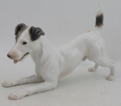 A Bing and Grondahl model, of a playful terrier, No1723, (Pre 1948), 12ins x 7ins -  2nd quality