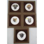 A set of five Boehm porcelain circular framed plaques, from The Big Five, by David Shepherd,