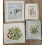 Margaret Tarran, three watercolours, botanical studies, together with Susan Shaw, watercolour,