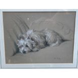 Margorie Porter, pastel, The Artful Dodger, portrait of a dog, signed, 11ins x 14ins