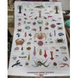 A Scandinavian Fishing Year Book poster, 40ins x 27.5ins