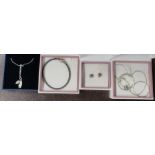 A silver Pandora necklace, together with a bracelet and pair of earrings, all individual designs,