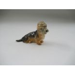 A Royal Worcester model, of a Dandie Dinmont, Shape No 2943, height 2.5ins
