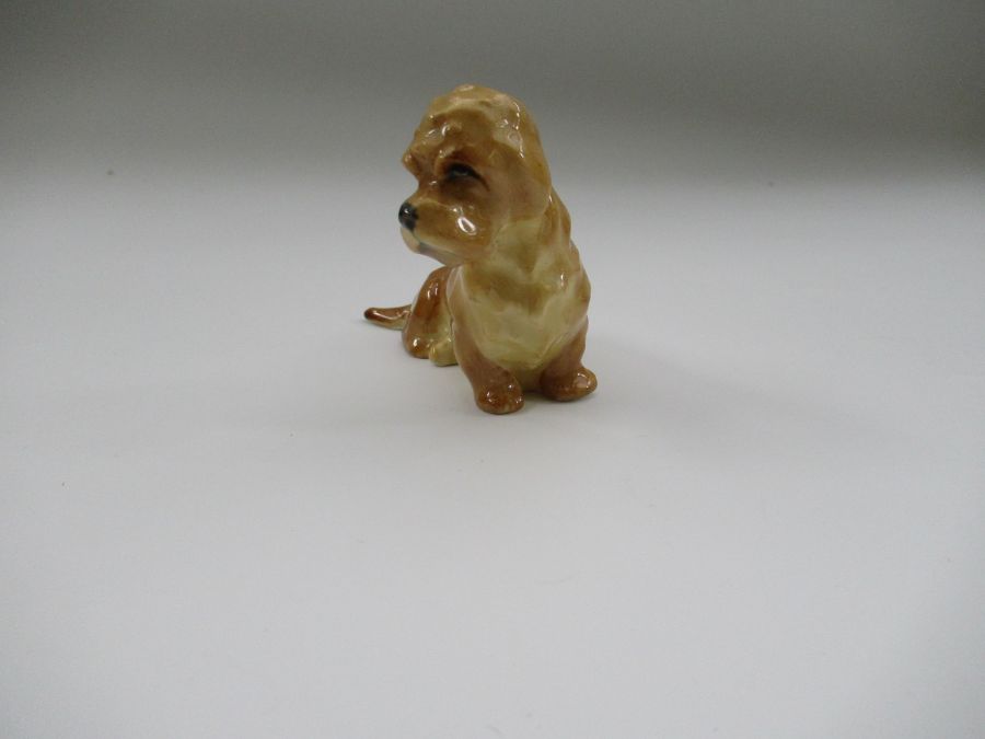 A Royal Worcester model, of a Dandie Dinmont, Shape No 2943, height 2.5ins - Image 2 of 3