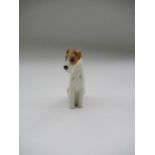 A Royal Worcester model, seated fox Terrier, Shape No 2942