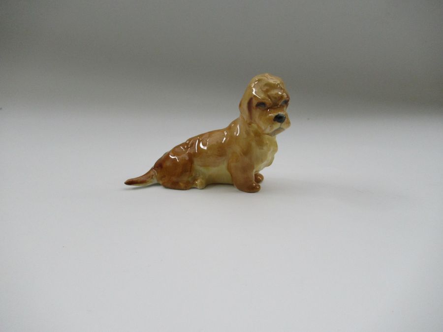 A Royal Worcester model, of a Dandie Dinmont, Shape No 2943, height 2.5ins