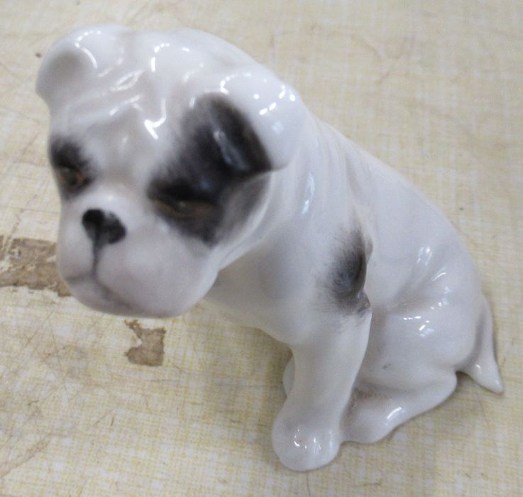 A Royal Worcester model, of a Boxer dog