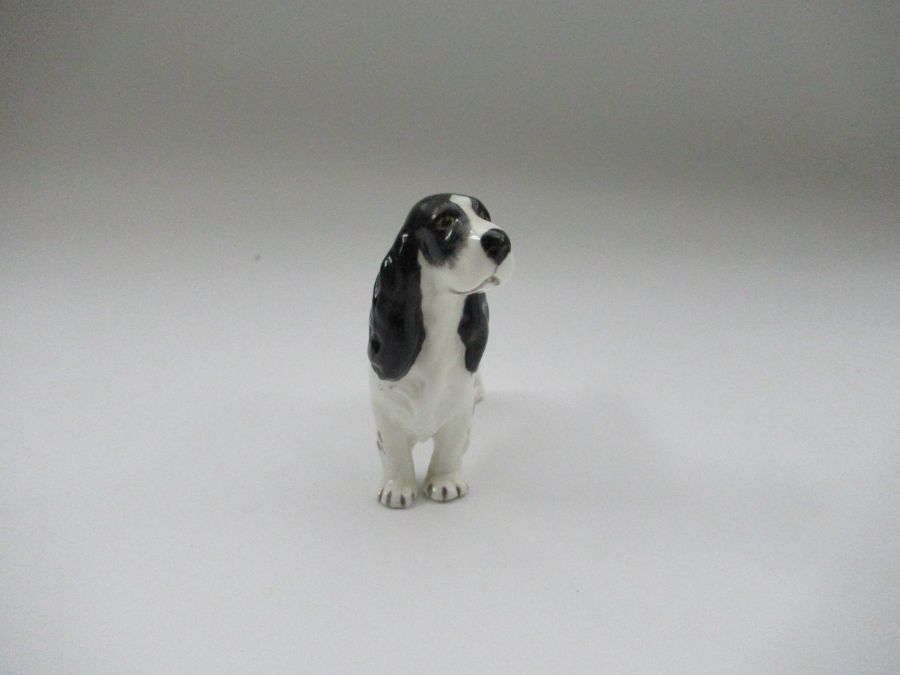 A Royal Worcester model, of a Spaniel, Shape No 3033, height 2.75ins - Image 2 of 3