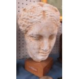 A reproduction Antique style bust, on wooden base
