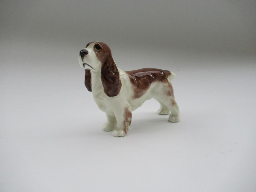 A Royal Worcester model, of a Liver and white Spaniel, Shape No 3033, height 2.75ins