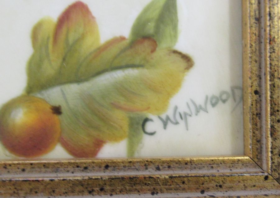 A framed Royal Worcester rectangular porcelain plaque, decorated with a bird in foliage by - Image 2 of 3