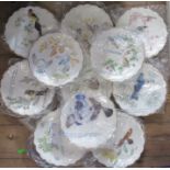 11 Royal Worcester Dorothy Doughty bird plates