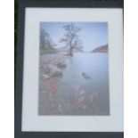 James Bell, colour photograph, Ullswater Tree Med, 14.75ins x 10.75ins