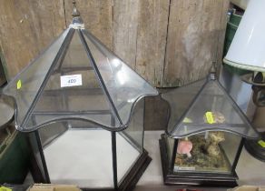 Two glass boxes, one containing pottery mushrooms