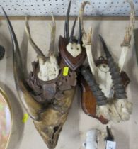 Five sets of taxidermy antlers, some mounted