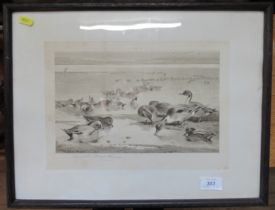 A signed Archibald Thorburn print, of ducks, 9ins x 12ins