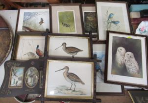 A collection of prints and pictures, of birds etc