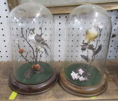 A pair of Royal Worcester bronze and porcelain models, of birds, under glass domes, height 8ins