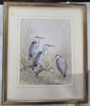 Mary Clare Critchley Salmonson, watercolour, three herons in landscape, 17.5ins x 13.5ins