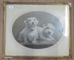 Seccombe, oval watercolour, two terriers, 17ins x 13ins Condition Report: The watercolour is faded