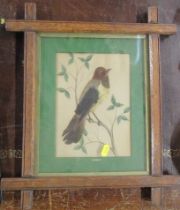 A picture of a bird, with the bird made of feathers, 9ins x 6.25ins