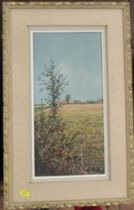 Breysse, oil on canvas, Environs D'Azay, Touraine, 15.75ins x 7.75ins