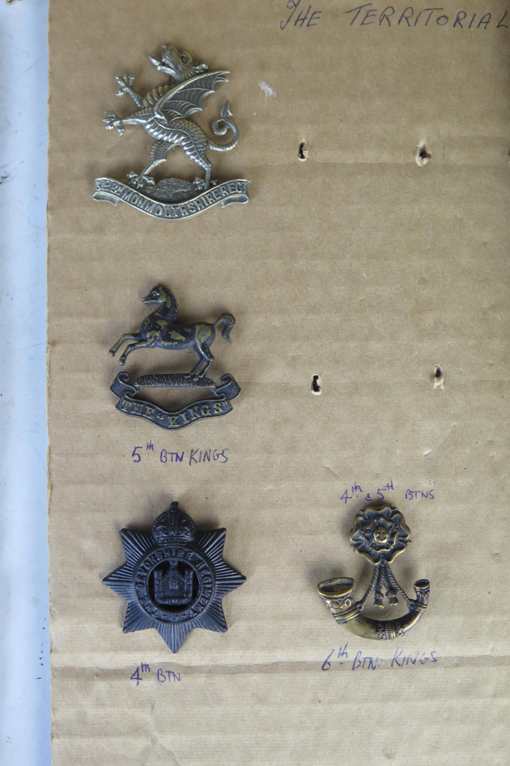 Collection of Military Cap Badges including 102 and 104 Bengal Fusiliers, Mine Clearance Service, - Image 7 of 10