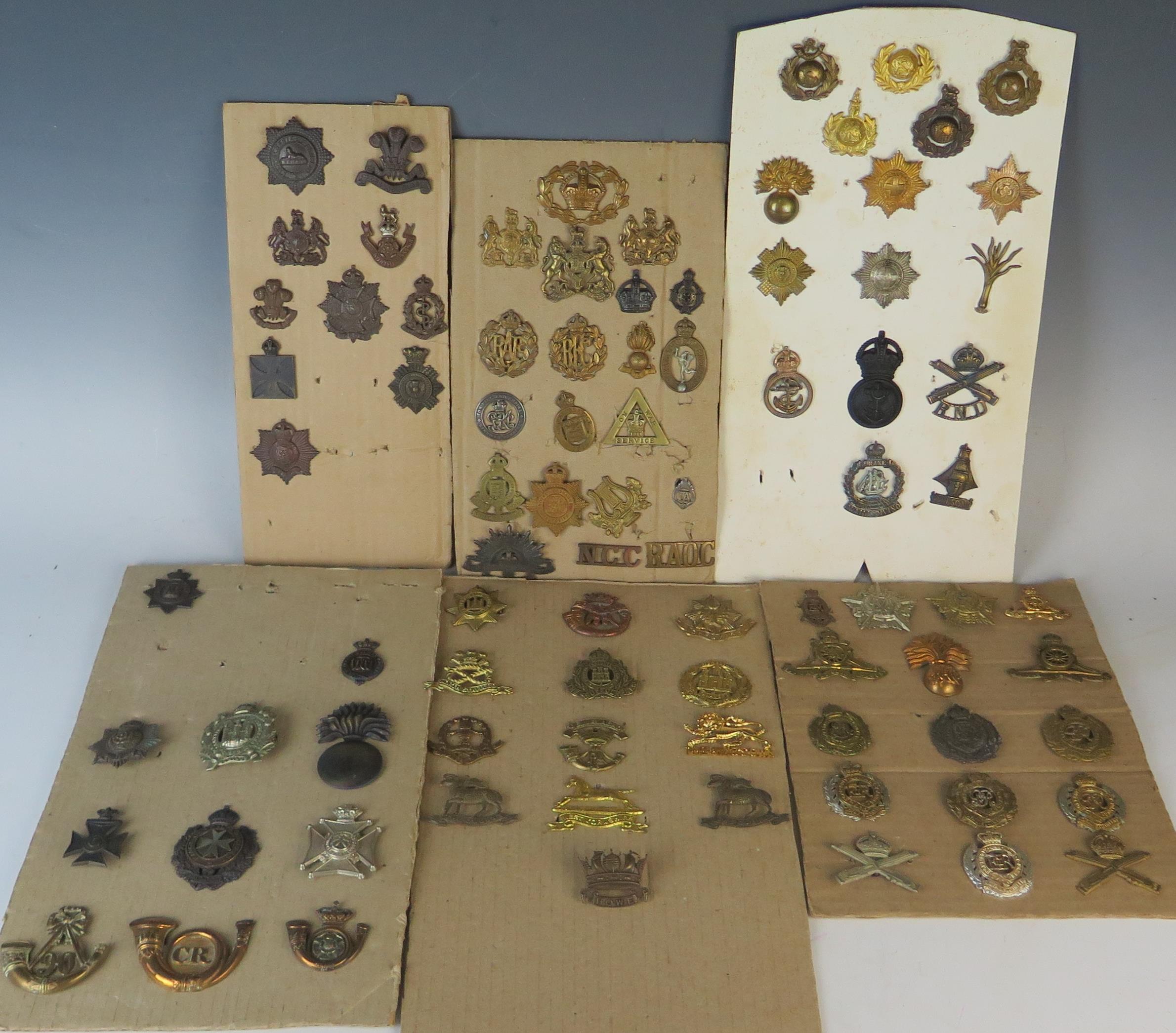 Collection of Military Cap Badges including R.N.D., Royal Marines, Navy, Scottish King's