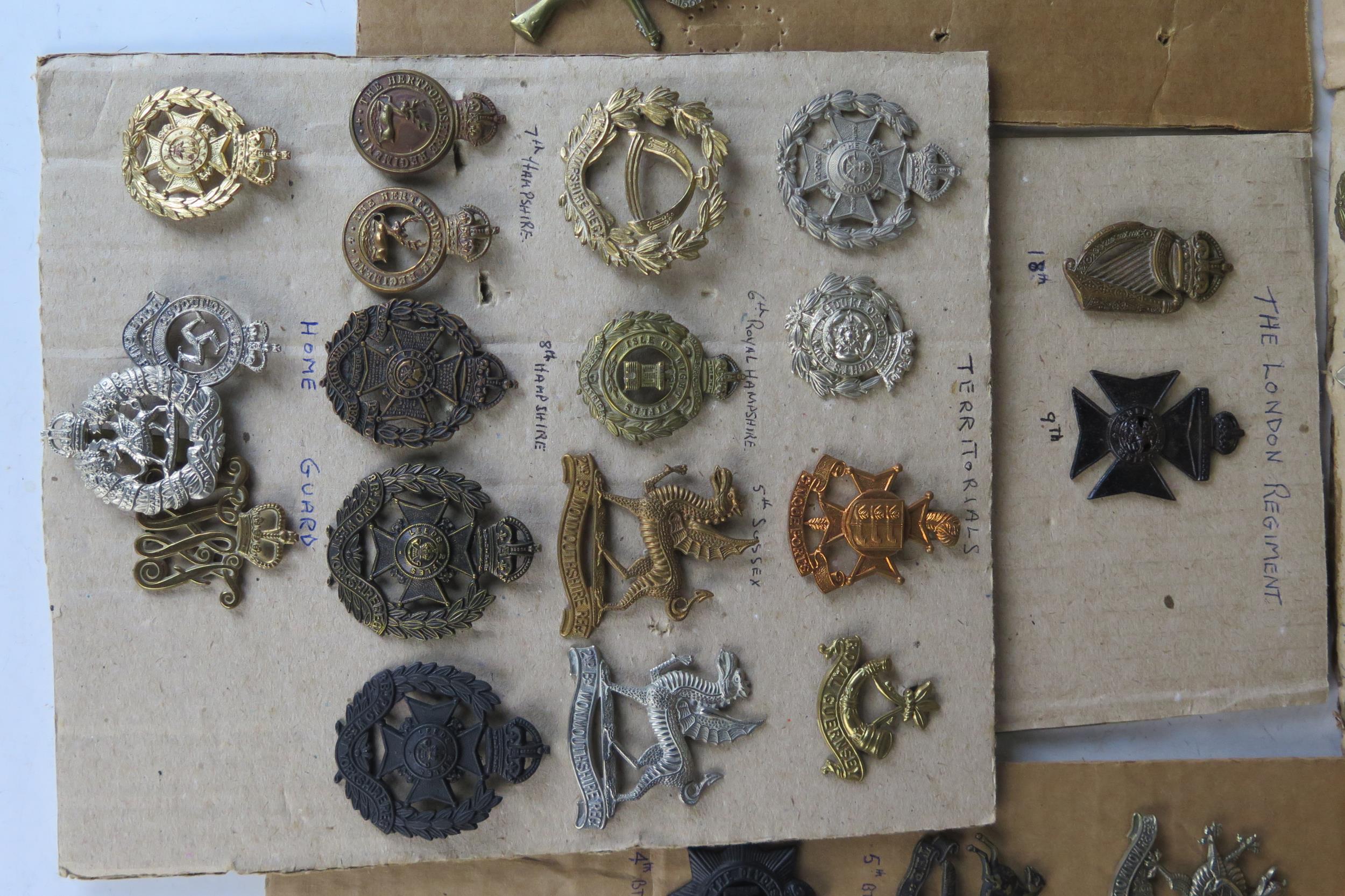 Collection of Military Cap Badges including 102 and 104 Bengal Fusiliers, Mine Clearance Service, - Image 6 of 10