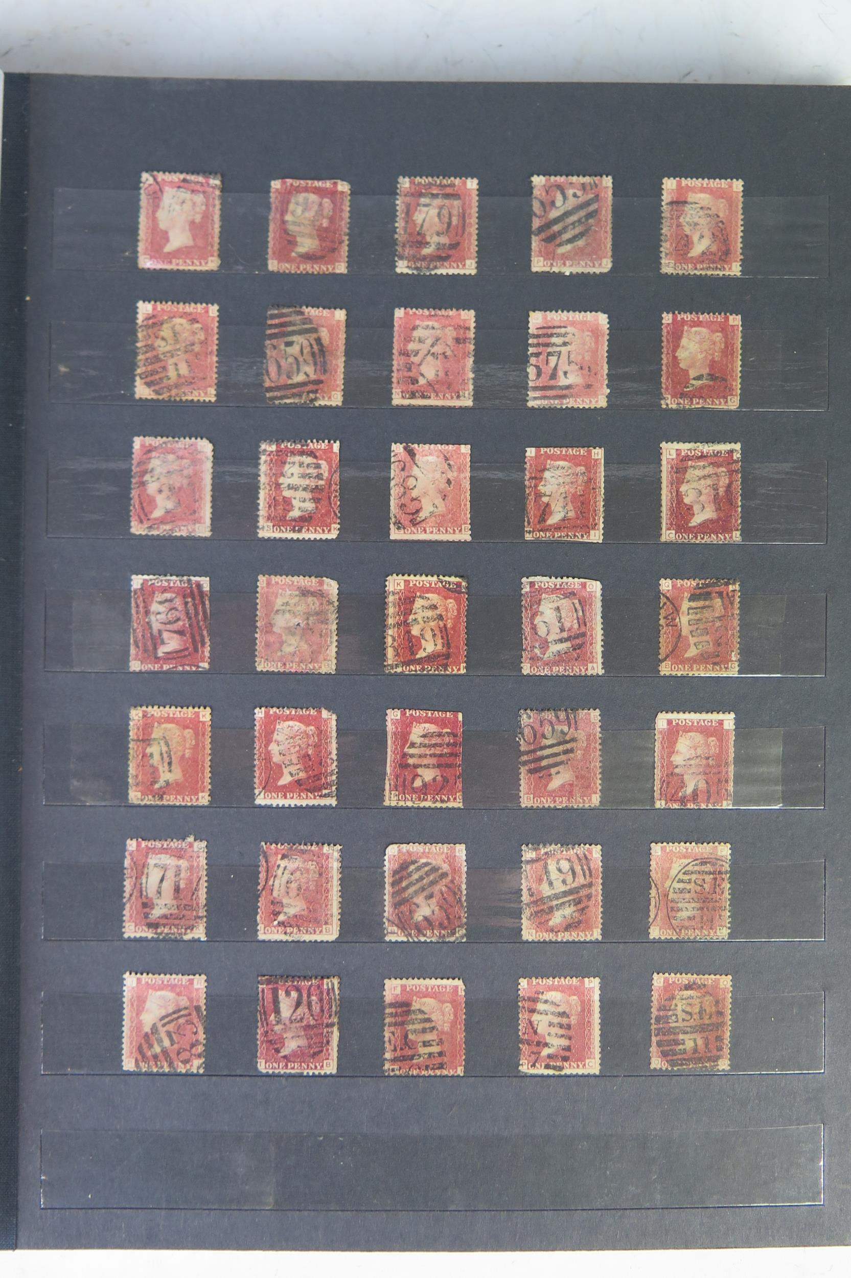 Album of GB Stamps including two Penny Blacks, numerous Penny Reds including plate 10 and later - Image 2 of 4