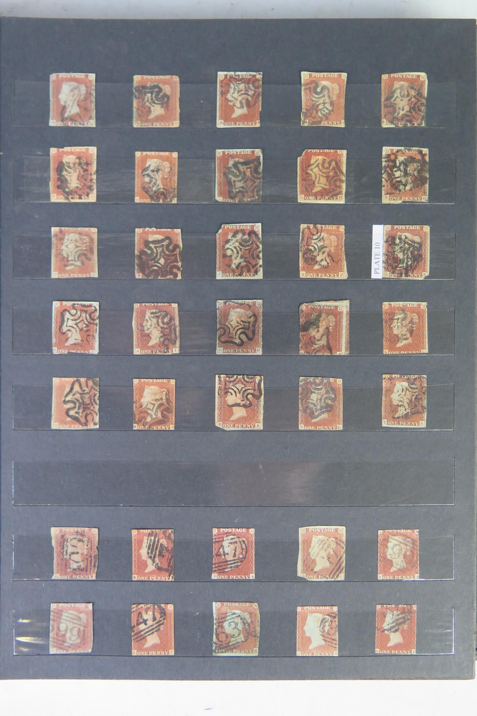 Album of GB Stamps including two Penny Blacks, numerous Penny Reds including plate 10 and later